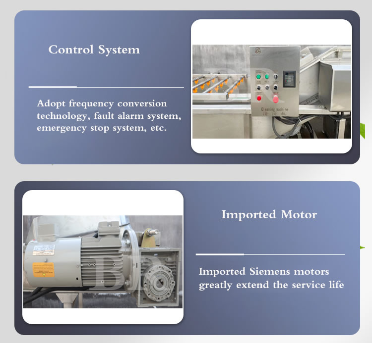Vegetable Cleaning Machine Fruit Washer Root Vegetable Bubble Washing Machine